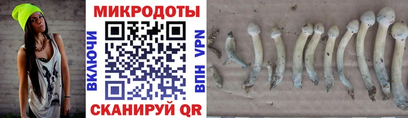 OMG маркетплейс  дарк нет телеграм  Печоры  Галлюциногенные грибы MAGIC MUSHROOMS  дарнет шоп 