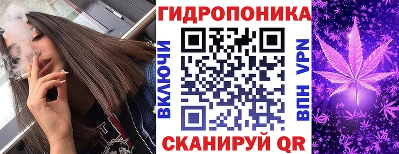 Марихуана план  Печоры 